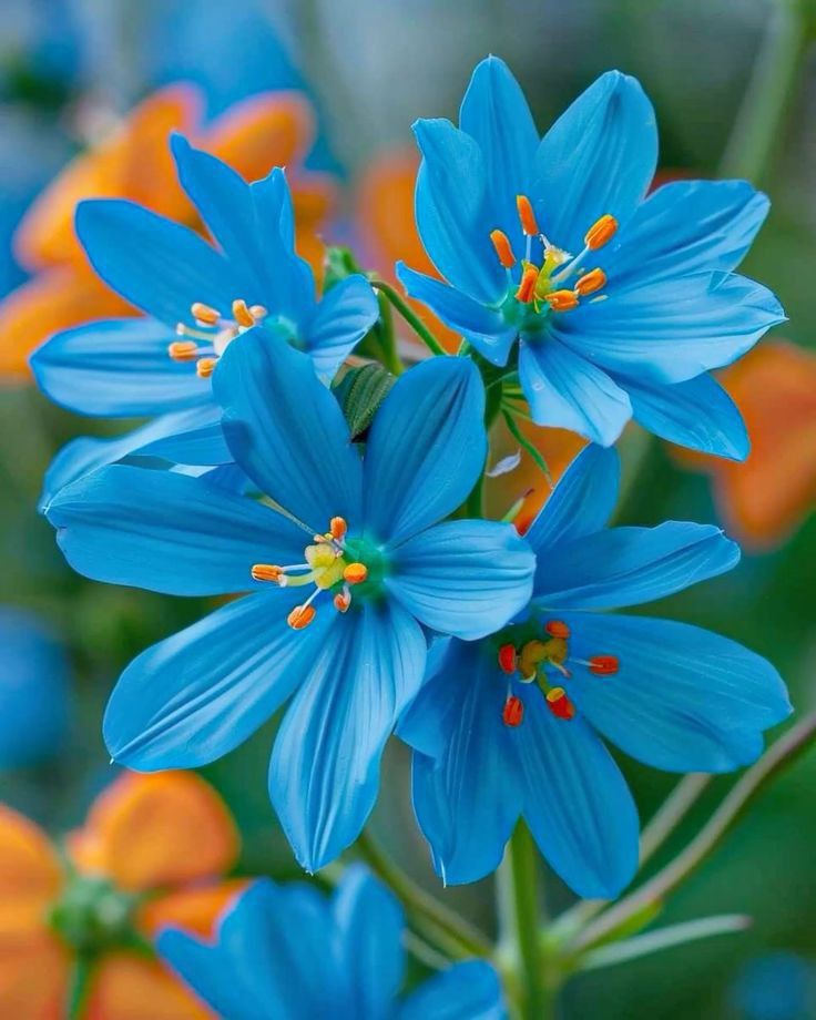 escape056's tweet image. 