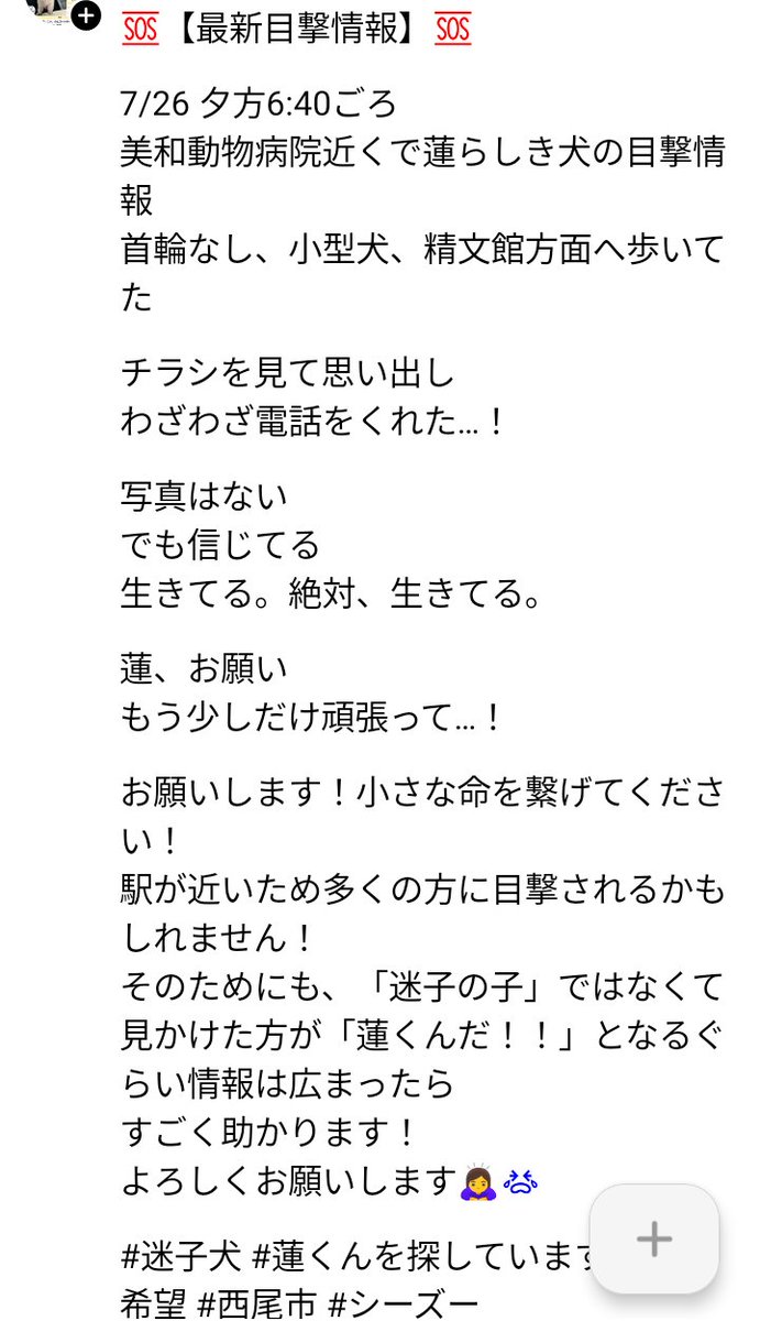 monon_11's tweet image. 愛知県西尾市で迷子になっている蓮くんかもしれないワンちゃんが目撃されたようです！