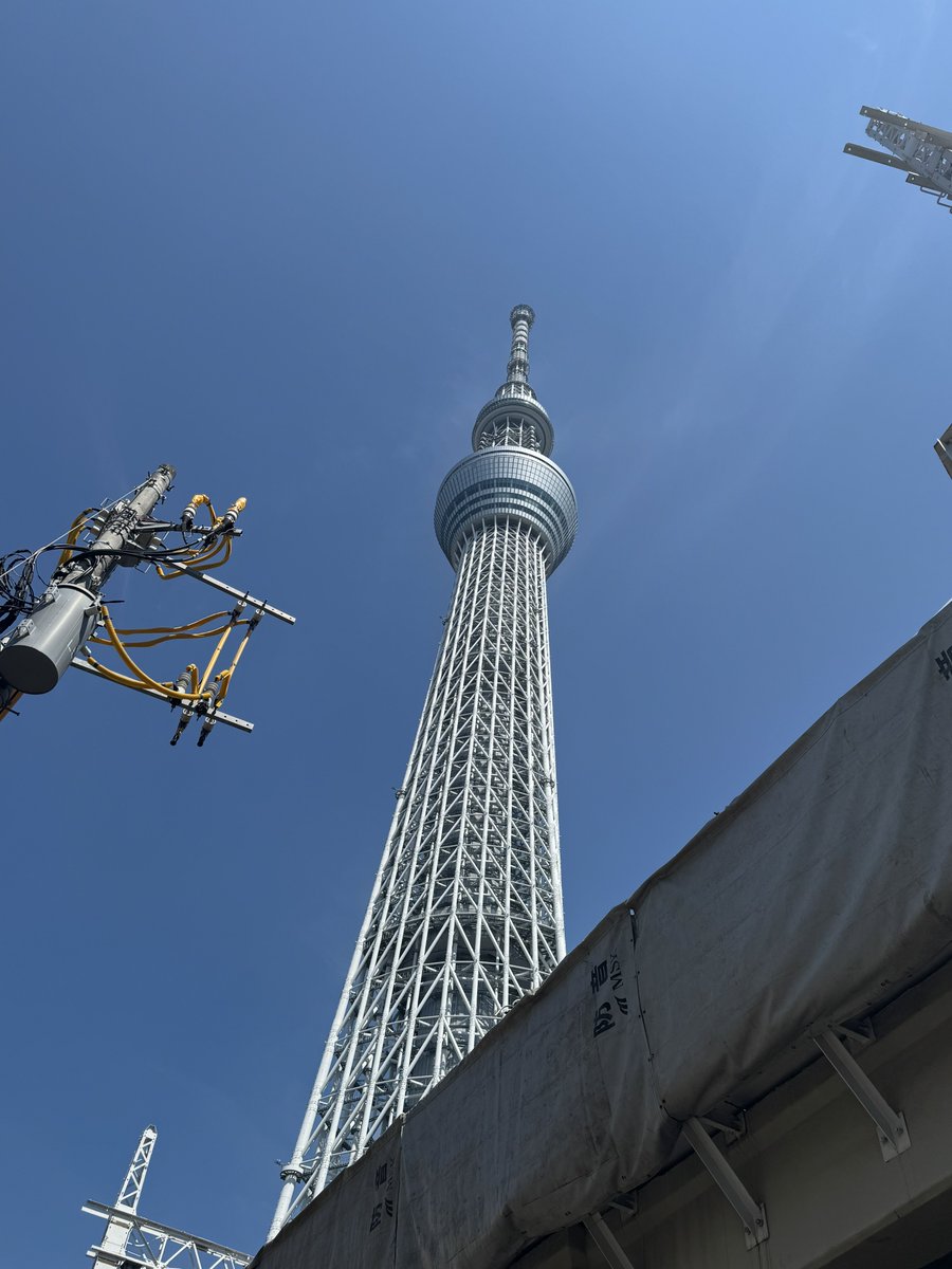 RhoF_Sugar's tweet image. でかそ
でかいか…？
でかいね