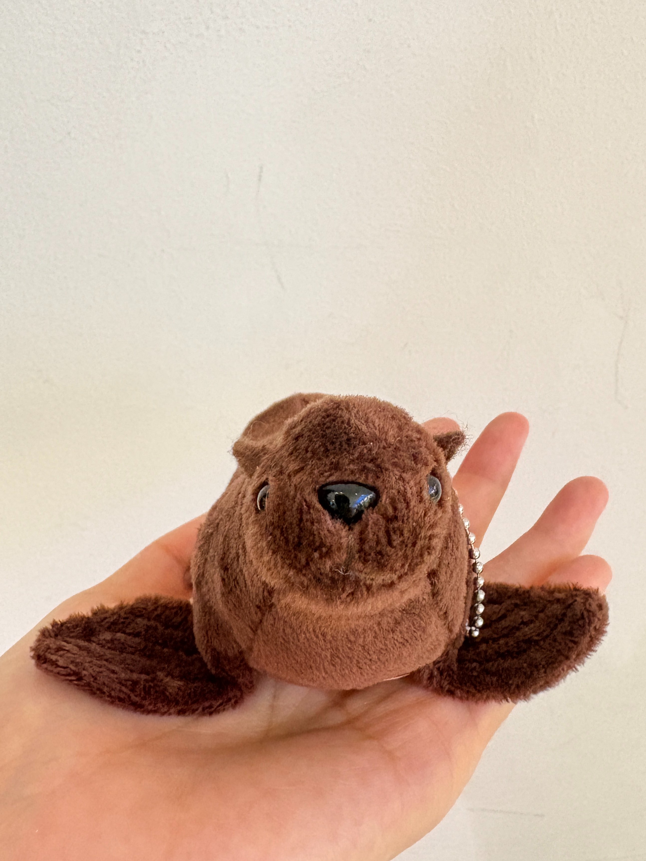 すみだ水族館【公式】 on X: 