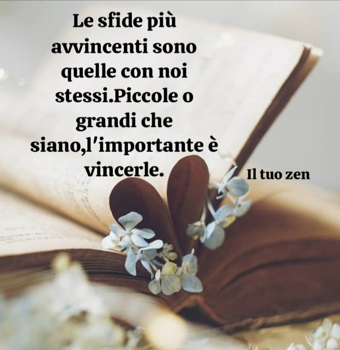 AngelaBaroness's tweet image. Buongiorno a tutti!Sereno inizio di settimana 🍀🍀🍀🧡