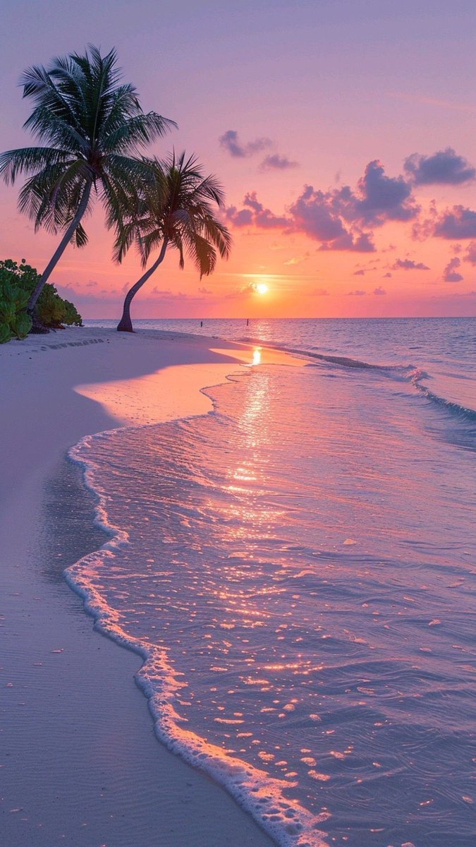 canmetax's tweet image. GM have a great beginning of the week and be ready for 🚨breaking news