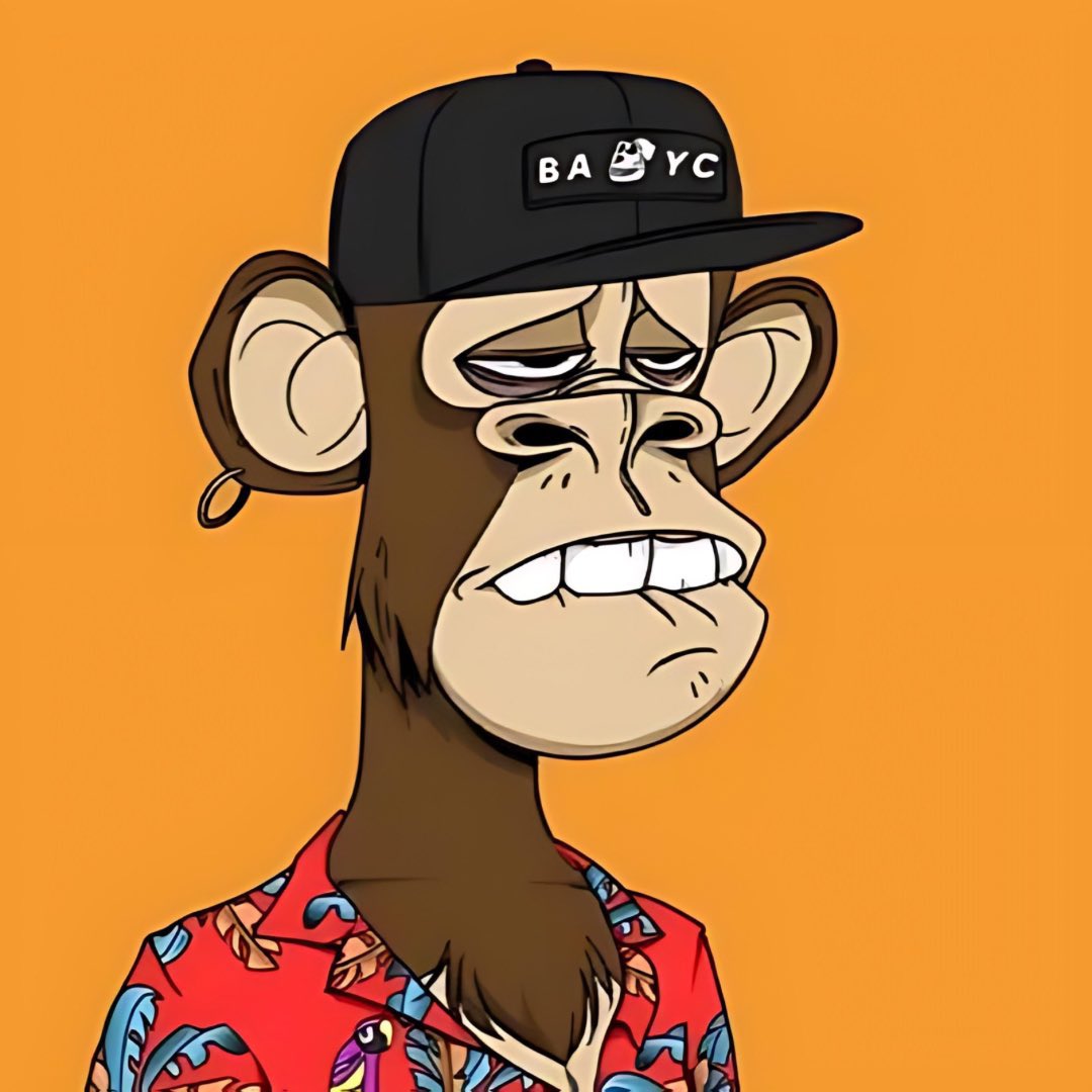 Kingsam0x_'s tweet image. #RRBAYC