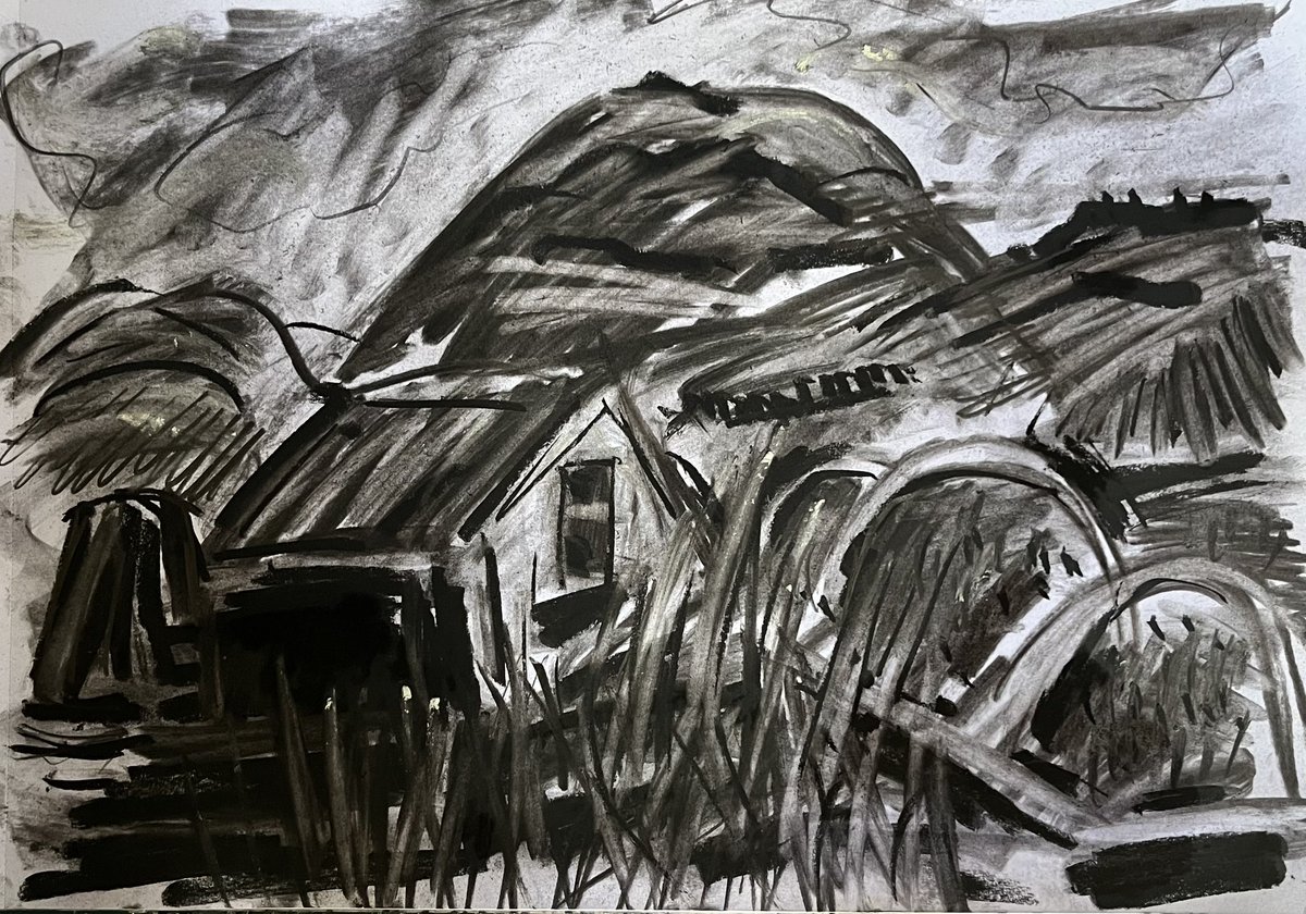 DaveGreen1963's tweet image. The allotment. Large charcoal on cartridge paper.