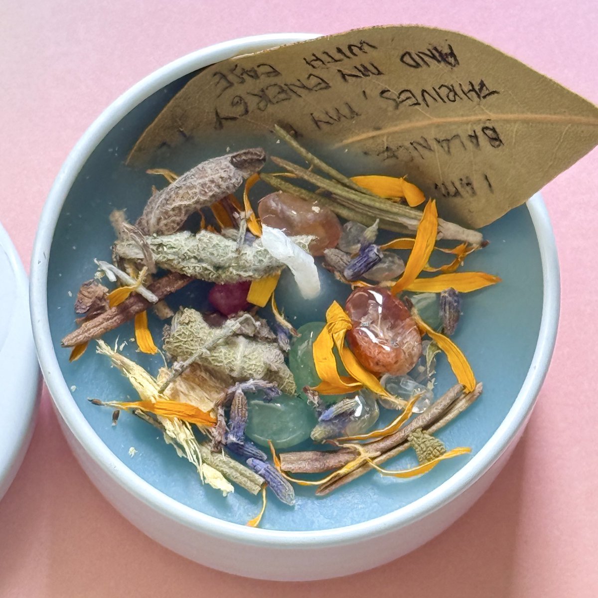 crittercaffe's tweet image. ⚕️