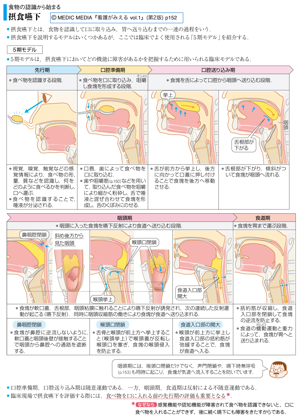 看護がみえる 病気がみえる まとめ売り セット 看護師 新人 看護学生 看護がみえる 病気がみえる まとめ売り セット 看護師 新人 看護