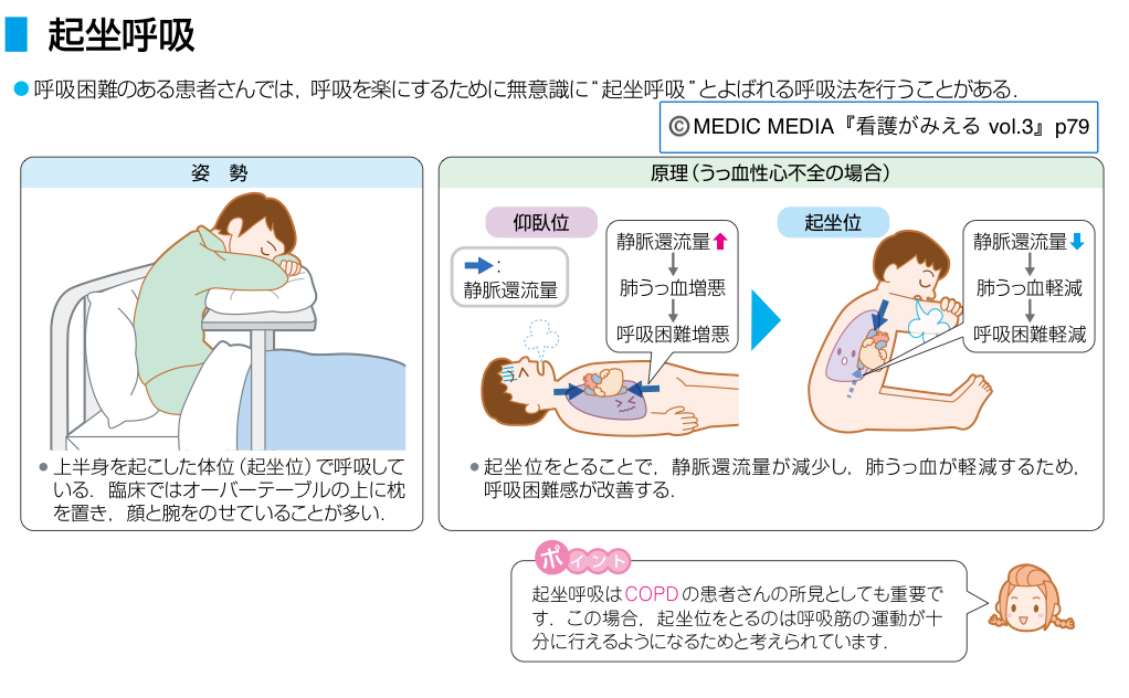看護がみえる 病気がみえる まとめ売り セット 看護師 新人 看護学生 看護がみえる 病気がみえる まとめ売り セット 看護師 新人 看護学生