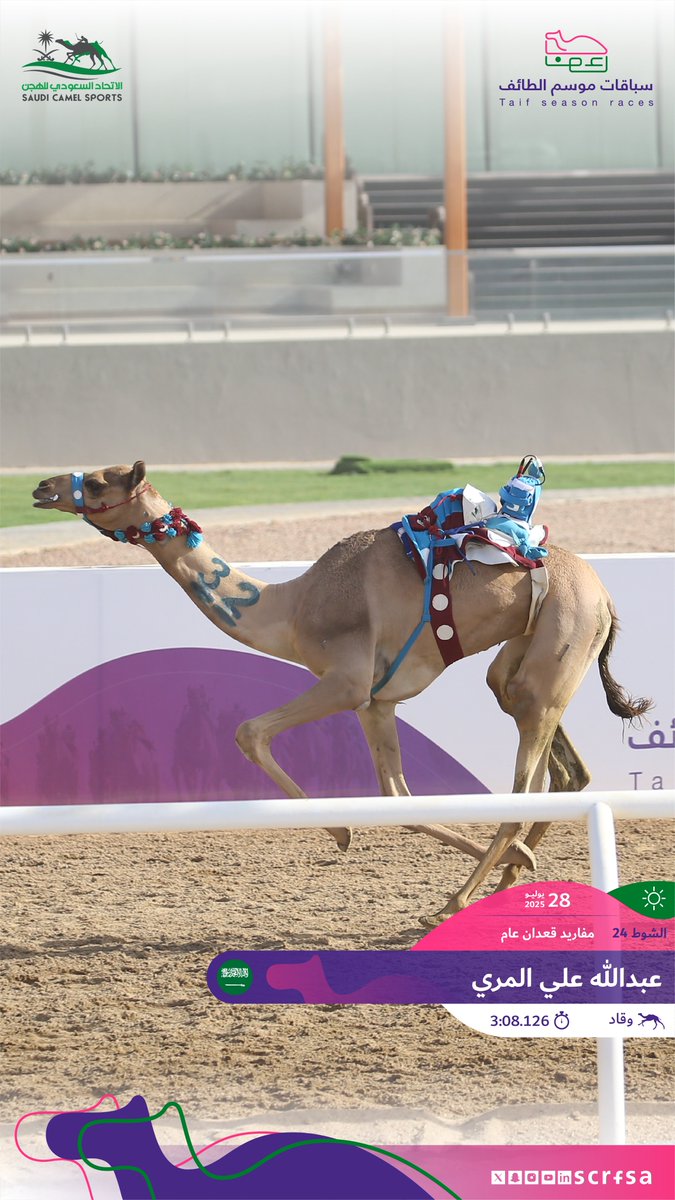 scrfSA's tweet image. #سباقات_موسم_الطائف 2025
أشواط السباق الثاني
🐪 وقاد
▫️عبدالله علي المري
🏁 الشوط 24: مفاريد قعدان عام.
⏱️3:08.126
🎥 youtube.com/watch?v=3pNjfP…