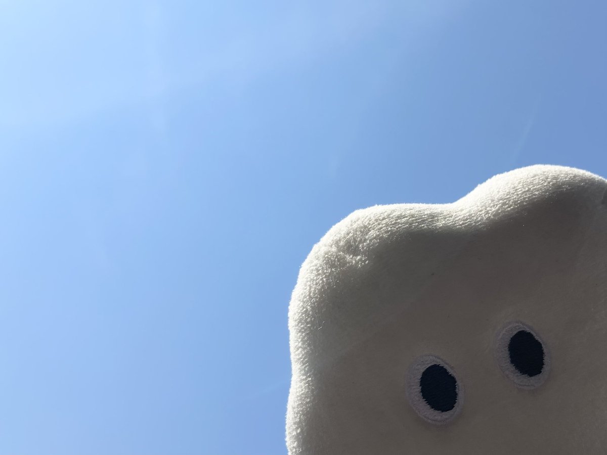 こんにちは🌞
週の始まりげつようび！今日は「なにわの日」🐙✨

気づけば今週で7月もラスト…早い！
まだ夏らしいことできてないから、8月は全力で楽しむぞー！🌻🍉🎆