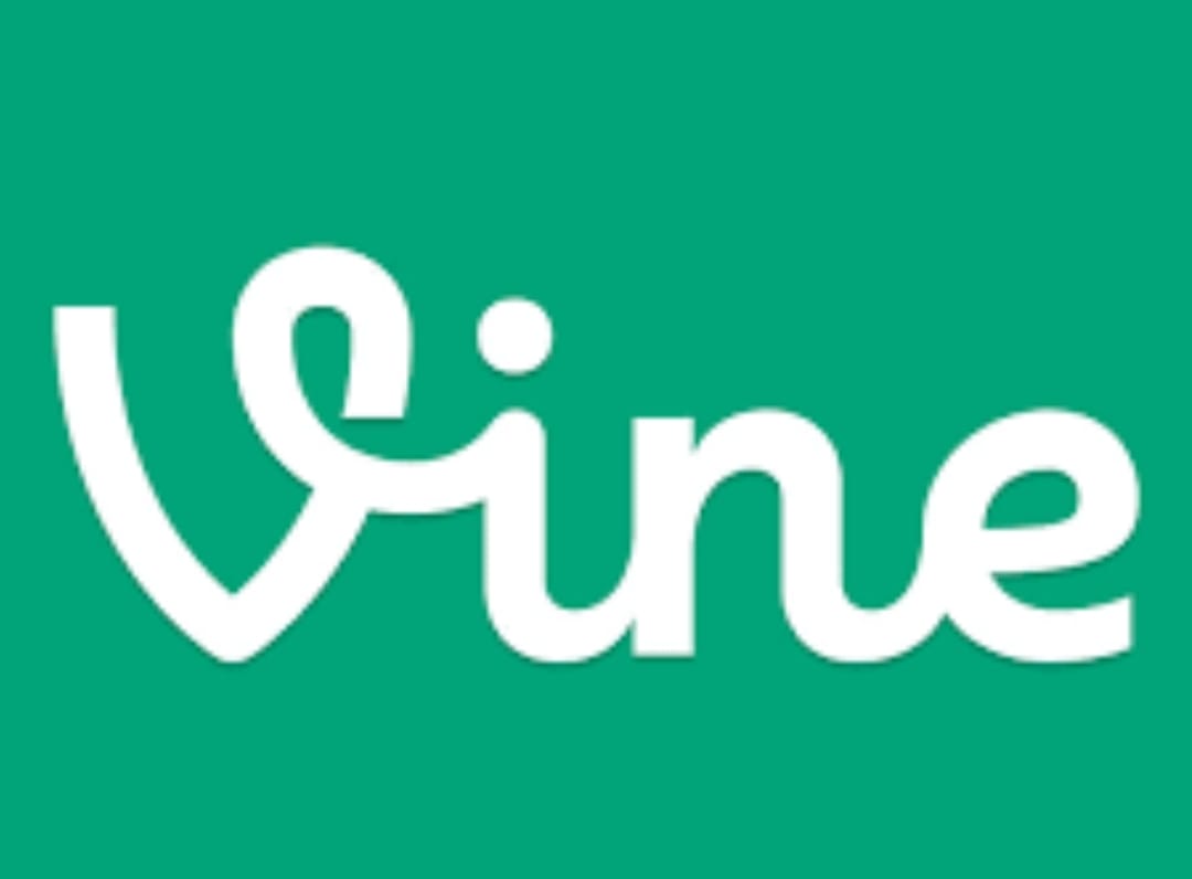 Elon once tweeted about $PNUT &amp; it shot to $2.5 in no time, but without real backing, just hype testing. Now with $VINE, we have a real product, strong support, and serious potential. A few tweets, Vine DP, launch &amp; this could be the next big one after $TRUMP. I never doubted it.