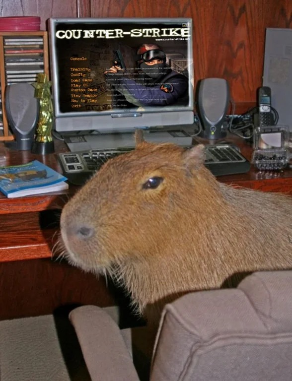 capyonbonk's tweet image. ok logging off now mom (i’m not)