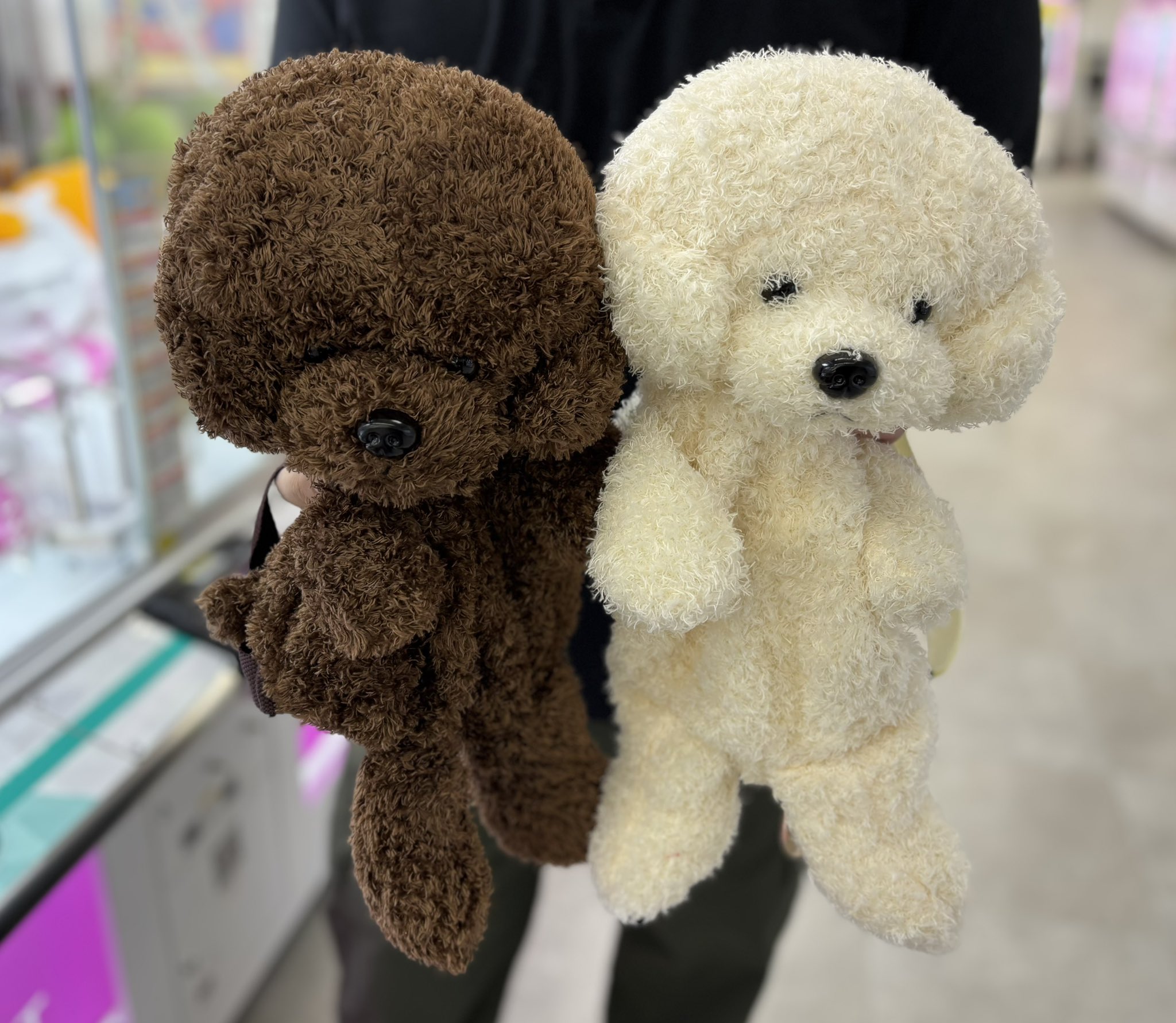 マンガ倉庫日向店アミューズ on X: 