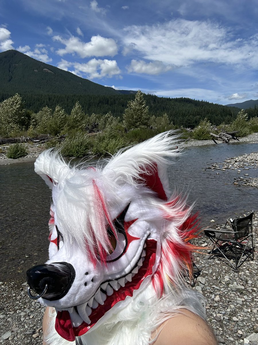 Daija_Wolf's tweet photo. https://t.co/lMKOkmkrOw