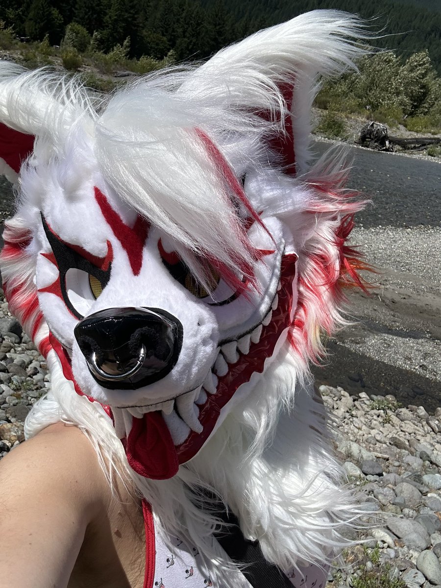 Daija_Wolf's tweet photo. https://t.co/lMKOkmkrOw