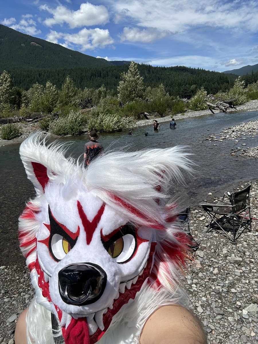 Daija_Wolf's tweet photo. https://t.co/lMKOkmkrOw