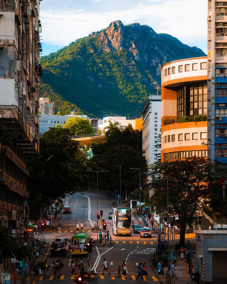 hesamviz's tweet image. هنگ‌کنگ، چین 🇭🇰