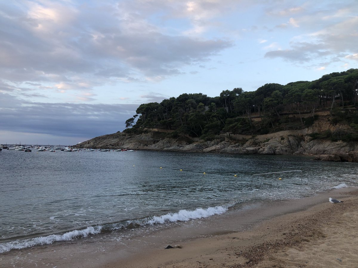enriccanela's tweet image. Notable tramuntana. Fa una temperatura normal, però el vent fa que sembli més freda. La mar molt moguda fora puntes. Tranquil·la a la badia. Dia incert.
