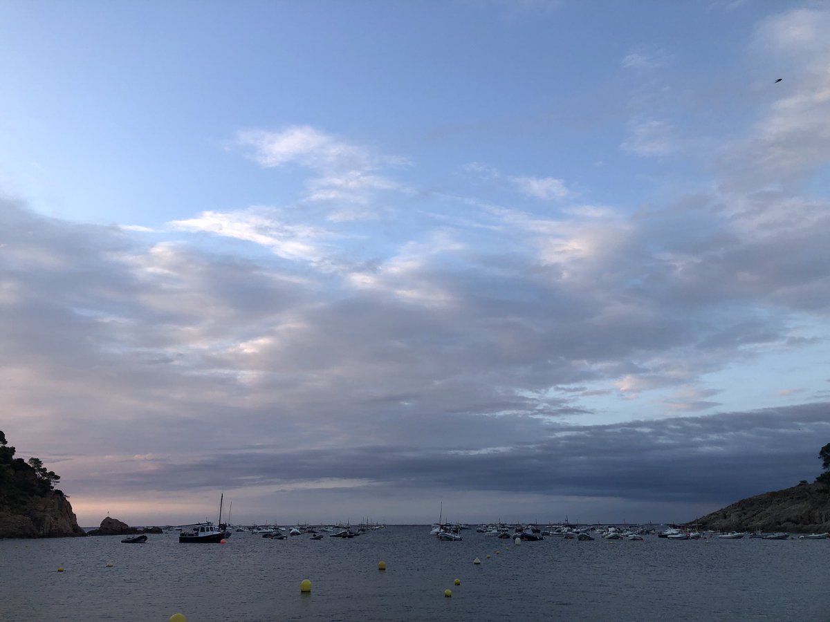 enriccanela's tweet image. Notable tramuntana. Fa una temperatura normal, però el vent fa que sembli més freda. La mar molt moguda fora puntes. Tranquil·la a la badia. Dia incert.