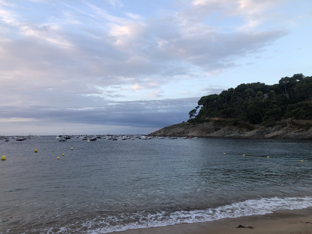 enriccanela's tweet image. Notable tramuntana. Fa una temperatura normal, però el vent fa que sembli més freda. La mar molt moguda fora puntes. Tranquil·la a la badia. Dia incert.