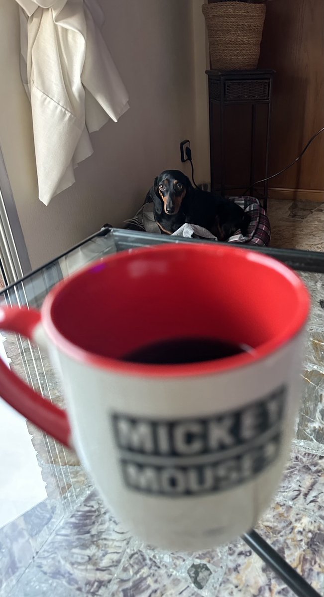 TonoSVJ's tweet image. Buenos días gente de bien, feliz lunes 😎☕️
Vamos al lío con alegría y entusiasmo.
A pesar de que muchos tenemos que trabajar, es verano y se respira otro aire.
Disfrutad y vivíd el día como merecéis!!!
Café y al lío!!!! Sed felices