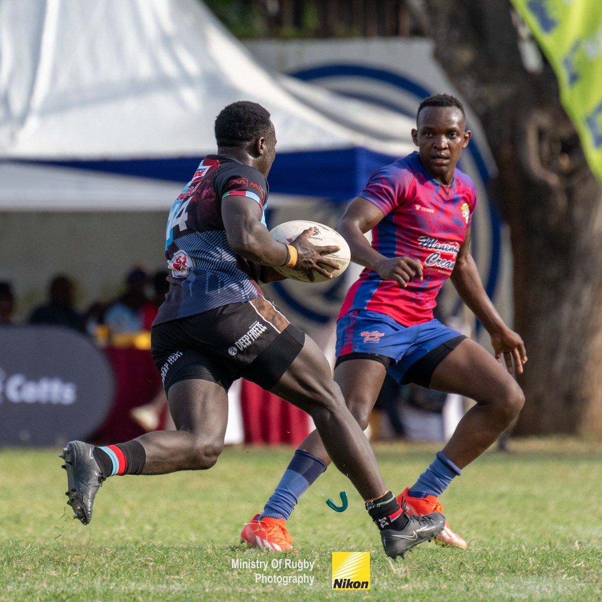 MinistryOfRugby's tweet photo. When you see it... Dont say anything, just retweet!
The detail that is Z9! More imagery coming up..
📷 by @arigiobiero on Nikon Z 9
Lens: NIKKOR Z 100-400mm f/4.5-5.6 VR S

#Driftwood7s2025 
#RugbyPhotography
#SportsPhotography
#limitlesswithNikon
@nikon_kenya 
@NikonMEA https://t.co/cPe3KZhlo3