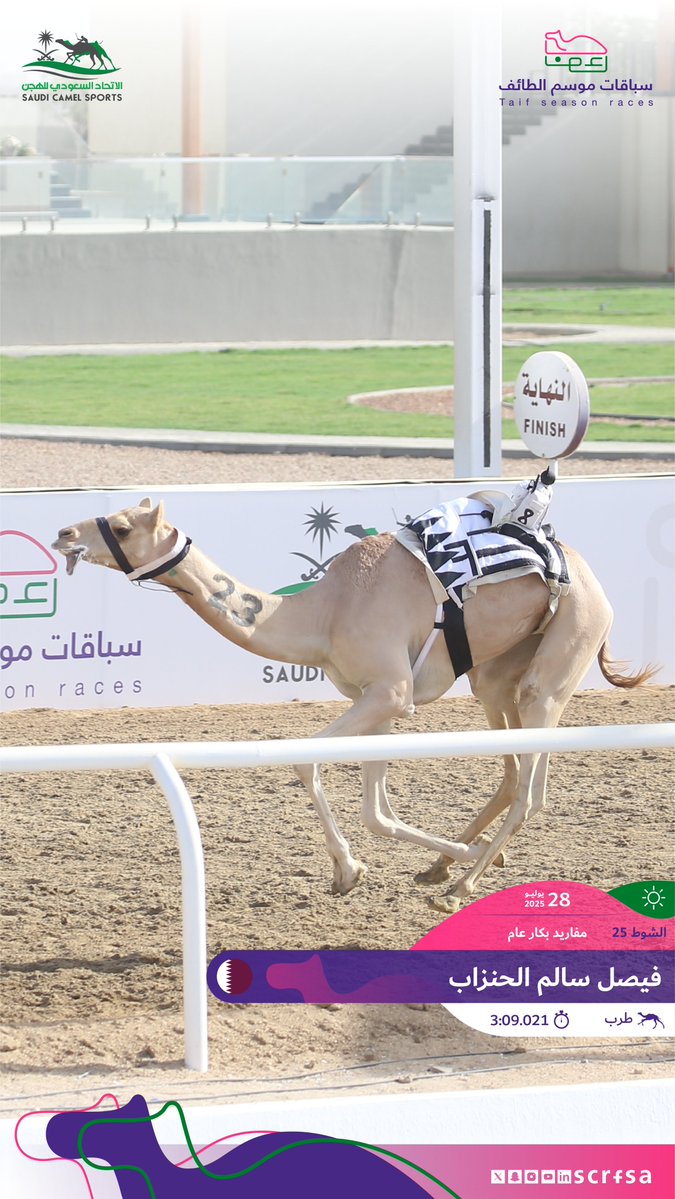 scrfSA's tweet image. #سباقات_موسم_الطائف 2025
أشواط السباق الثاني
🐪 طرب
▫️فيصل سالم الحنزاب
🏁 الشوط 25: مفاريد بكار عام.
⏱️ 3:09.021
🎥 youtube.com/watch?v=eAwdg7…