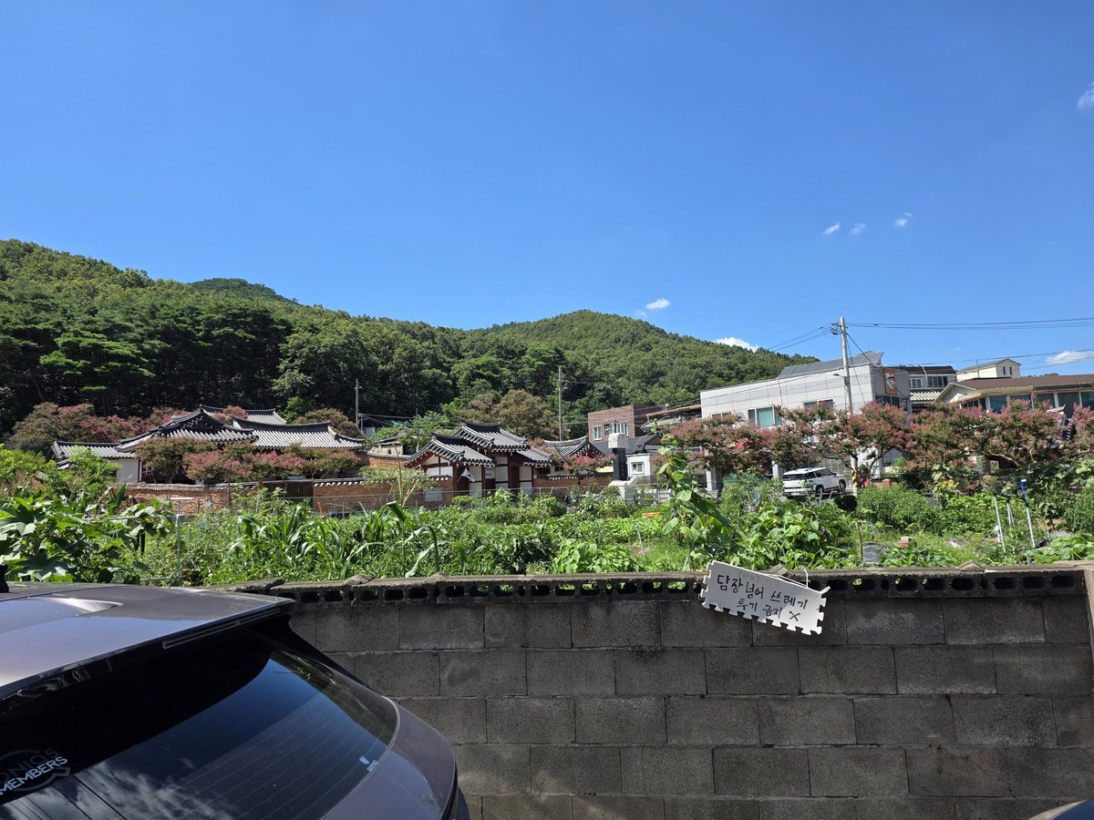 CustRuper's tweet image. Summer