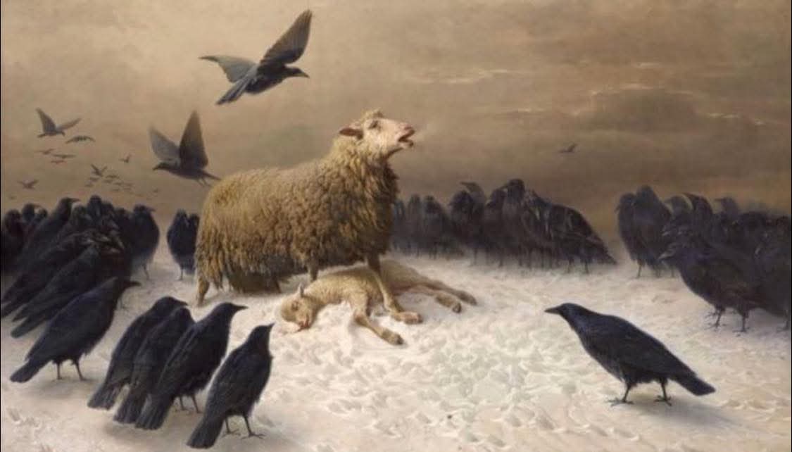 السلام علیکم ورحمۃ اللہ وبرکاتہ ،
 صبح بخیر زندگی 🍁 
*فوتگی والے گھر کھانے کے انتظار میں بیٹھے لوگ ان کوّوں سے زیادہ مختلف نہیں ہوتے 🙂🍂*
 $adi,✍️