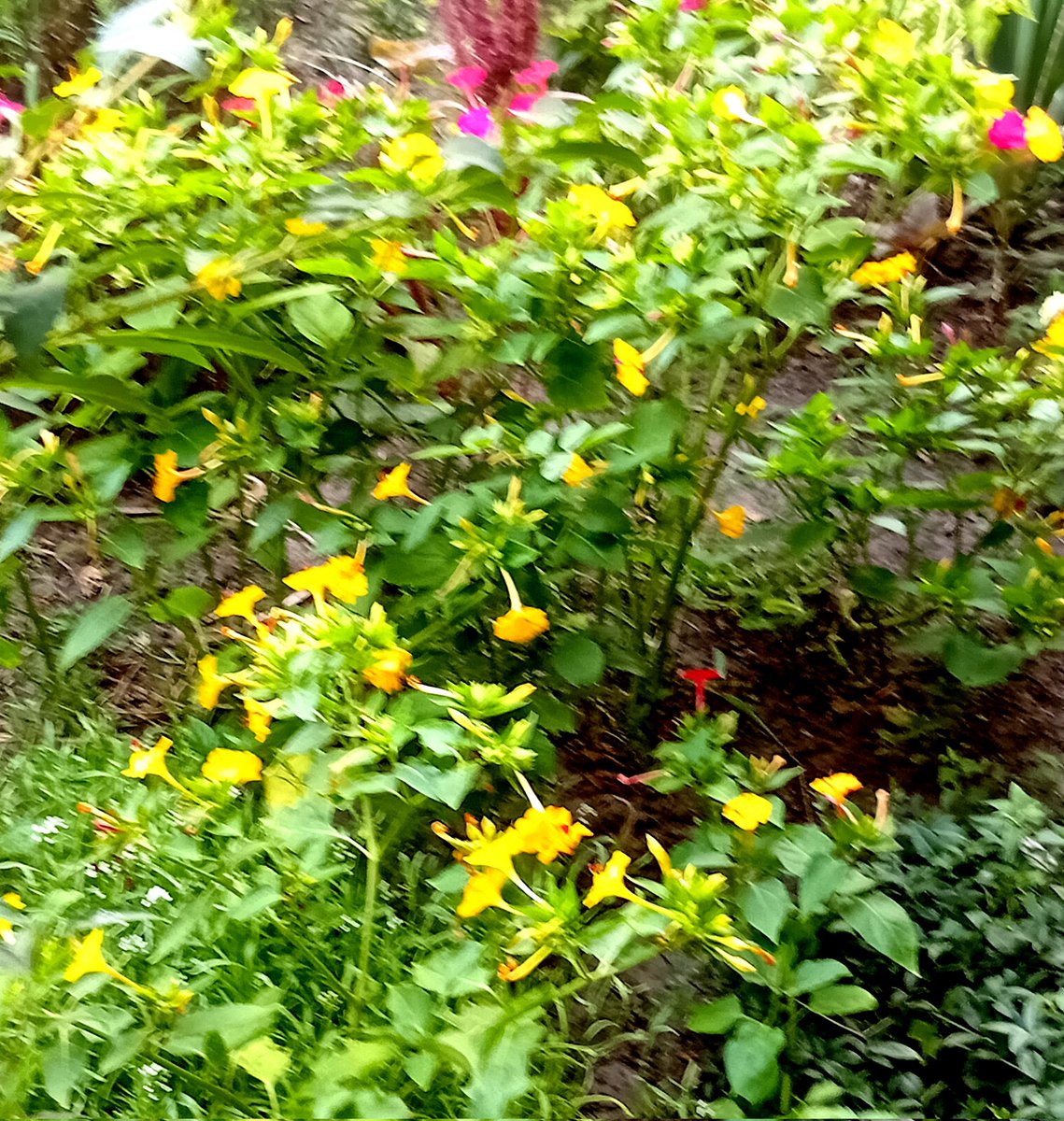 Катерина Галич tweet media