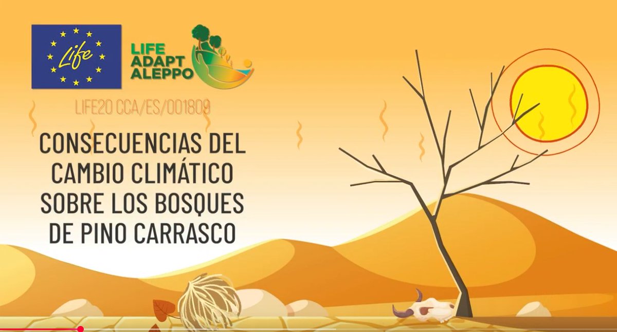 ¿Cómo nos afecta el #CambioClimático? Lo estamos viviendo: incendios más intensos, sequías prolongadas, pérdida de biodiversidad…
El vídeo explica de forma clara y visual cómo nos afecta y la necesidad de actuar. 🌄

🎥 👉 youtu.be/kluj1XF2e6U

#LIFEAmplifiers