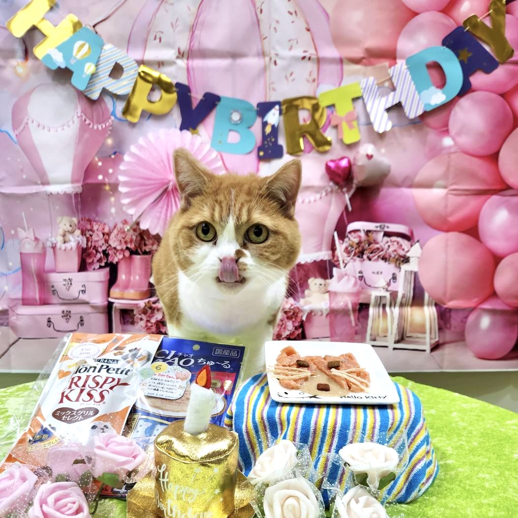 ymobileOfficial's tweet image. 🎂きょう7月28日は ふてニャンとしておなじみのてみちゃんの6歳のお誕生日🐱💐いつも癒しをありがとう!
そして…数日後の8月1日は、ワイモバイルも11周年の誕生日なんです🎉なんだかおトクなことがある予感も…👀💭
今年も“おめでとう”がたくさんの夏になりそうです🌻…