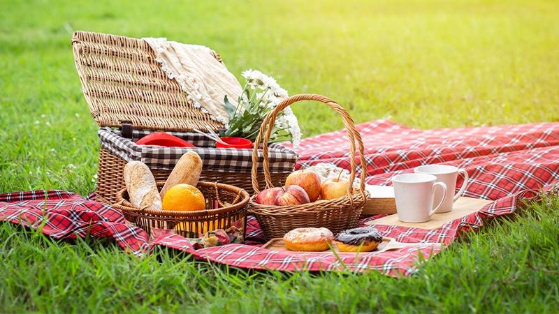 jjkanything's tweet image. Eso, Rika, and Uro are having a picnic!