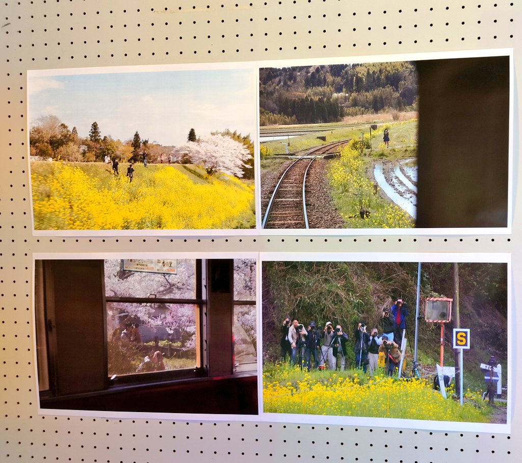 8341195's tweet image. そういえば昨日の市原湖畔美術館の展示で、下道基行さんのワークショップ「撃つか撃たれるか」がとても面白かった。小湊鐵道の車内から、外にいる撮り鉄の方たちを撮るっていうワークショップ。笑った。

share.google/mcgMyzanRbxlIe…