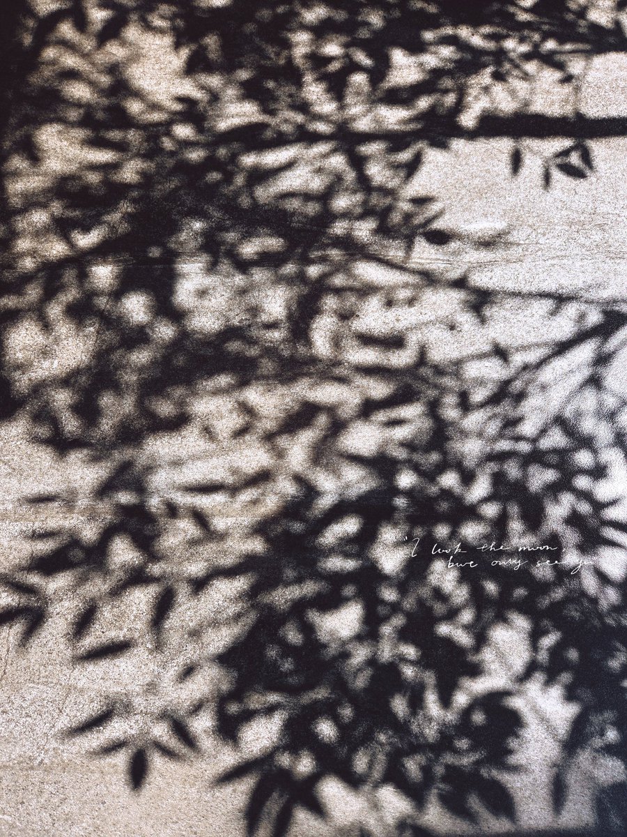 꿈을 꾸었다
그저 덤덤히 아무 말도 하지 않더라
내가 목소리를 잊은 탓일까
너무 오랜 시간이 흘렀다