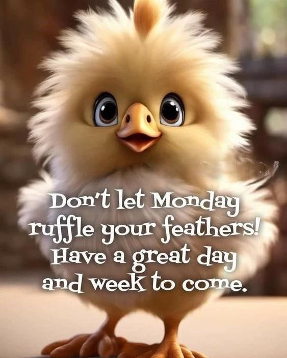 dottyelephant2's tweet image. Good morning peeps 😃☕️☀️