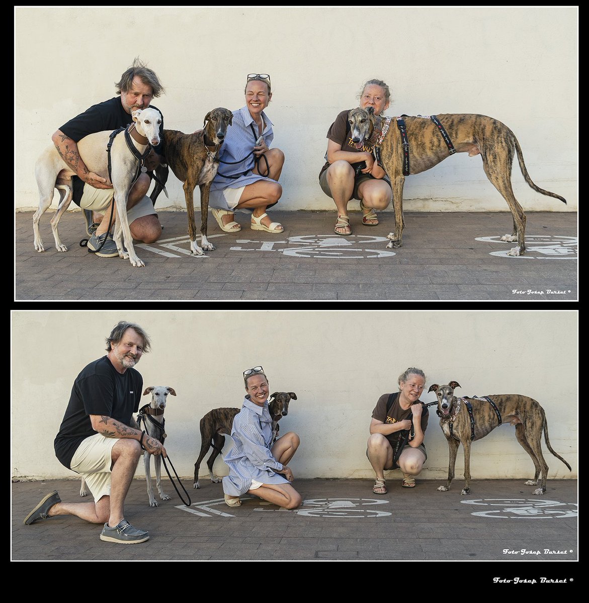 Un dia a les curses (de llebrers).