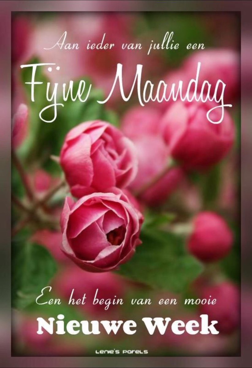 Goedemorgen iedereen