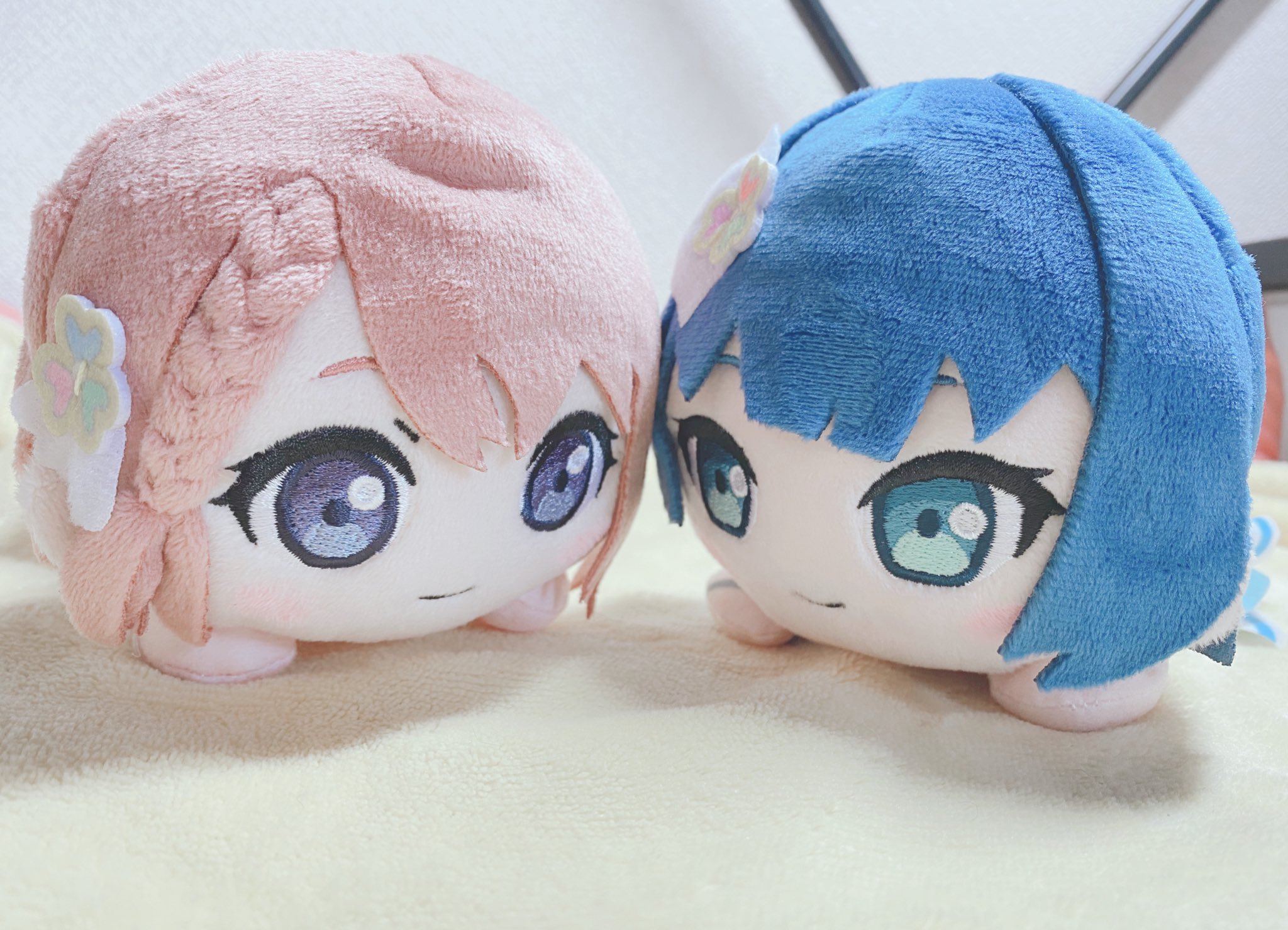 可愛い°˖✧°˖◝( ´͈ ᗨ `͈ )◜˖°✧˖° さんご。໒꒱· ﾟ on X: 
