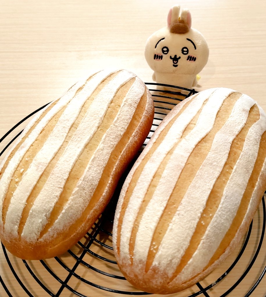 ミルクハースを作りました🍞
チョコチップを巻き込んでいます✨️
久しぶりだったので、クープがちょっと変になっちゃった💦
#パン作り