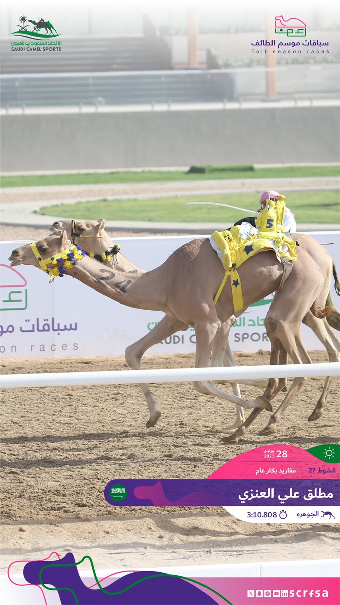 scrfSA's tweet image. #سباقات_موسم_الطائف 2025
أشواط السباق الثاني
🐪 الجوهره
▫️مطلق علي العنزي
🏁 الشوط 27: مفاريد بكار عام.
⏱️3:10.808
🎥 youtube.com/watch?v=xCFCq-…