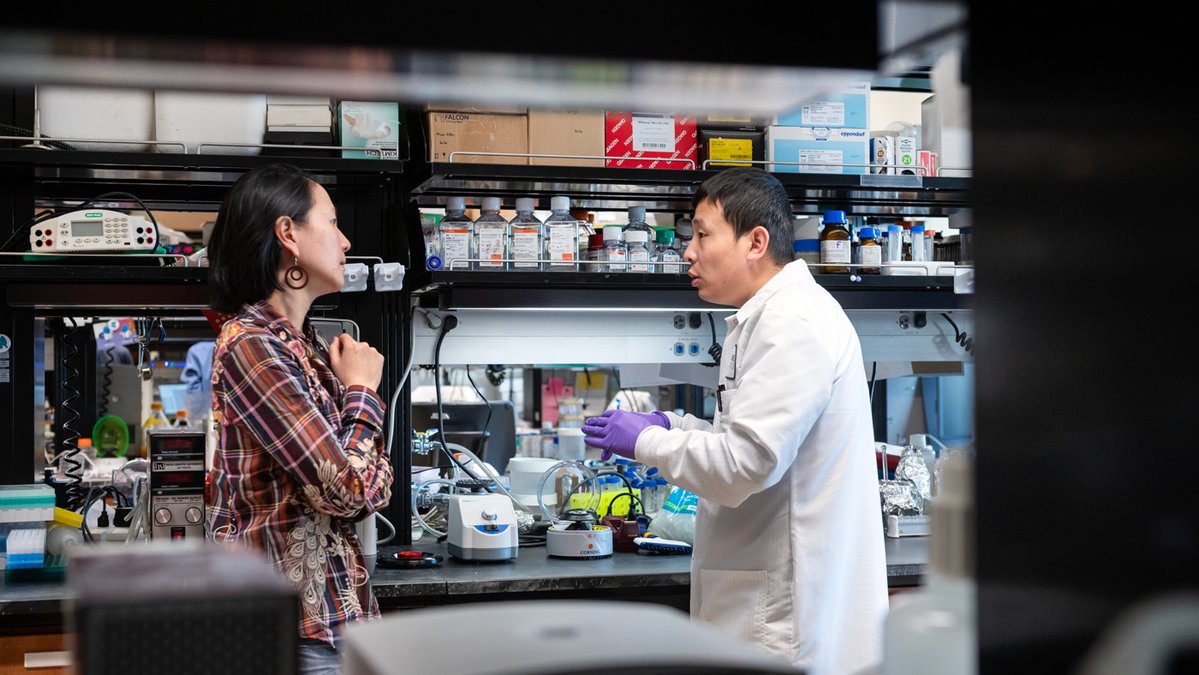 GladstoneInst's tweet image. Findings from the new study shed light on what happens immunologically during pregnancy and lactation, and will help inform future vaccine strategies for COVID-19 and other viruses.

Read more: bit.ly/44Qrtuk