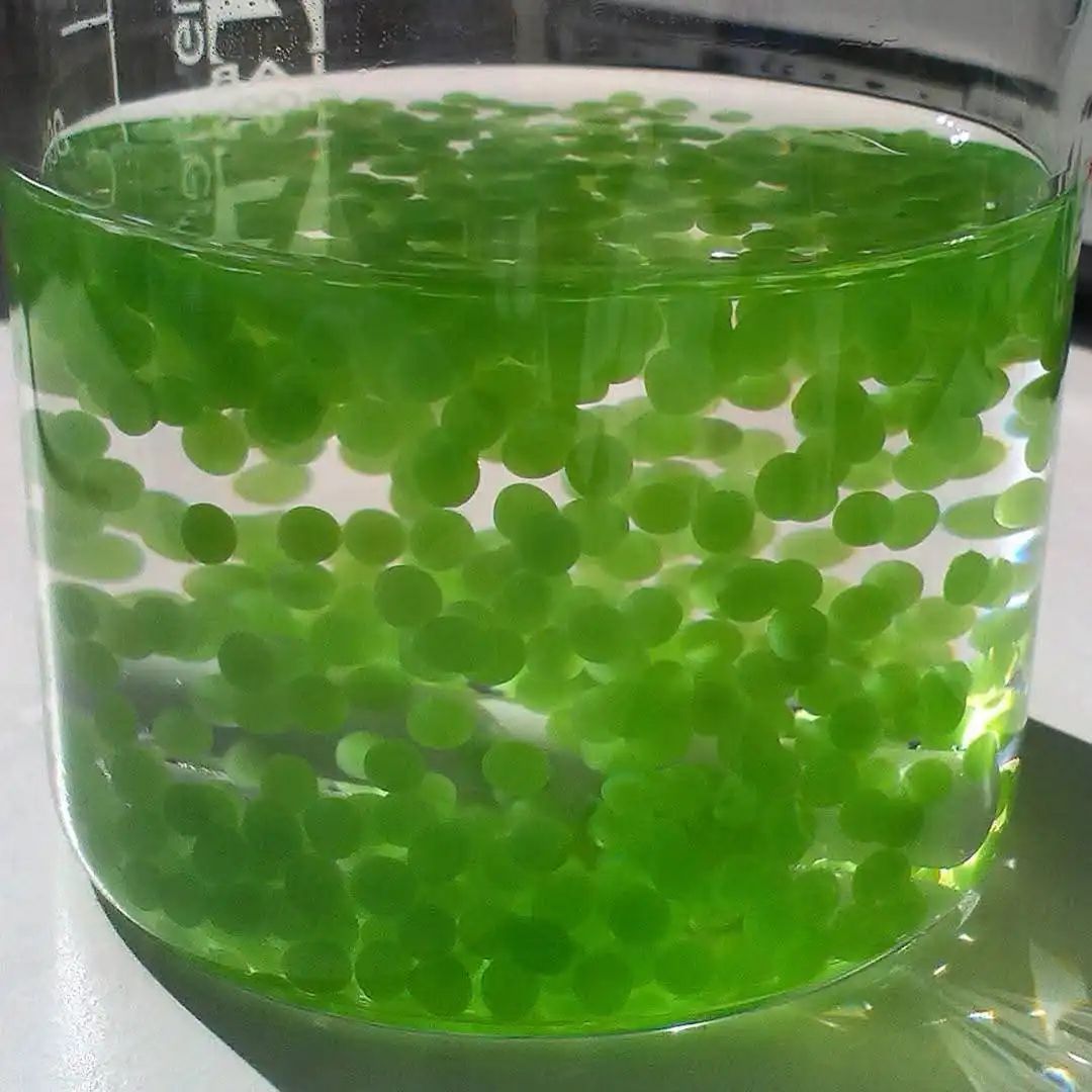 GlobalPlantGPC's tweet image. Feeding the Bloom: The Role of CO₂, Nutrients, and Heat in Algal Proliferation
globalplantcouncil.org/feeding-the-bl… via @uni_newcastle @anumedia #Science