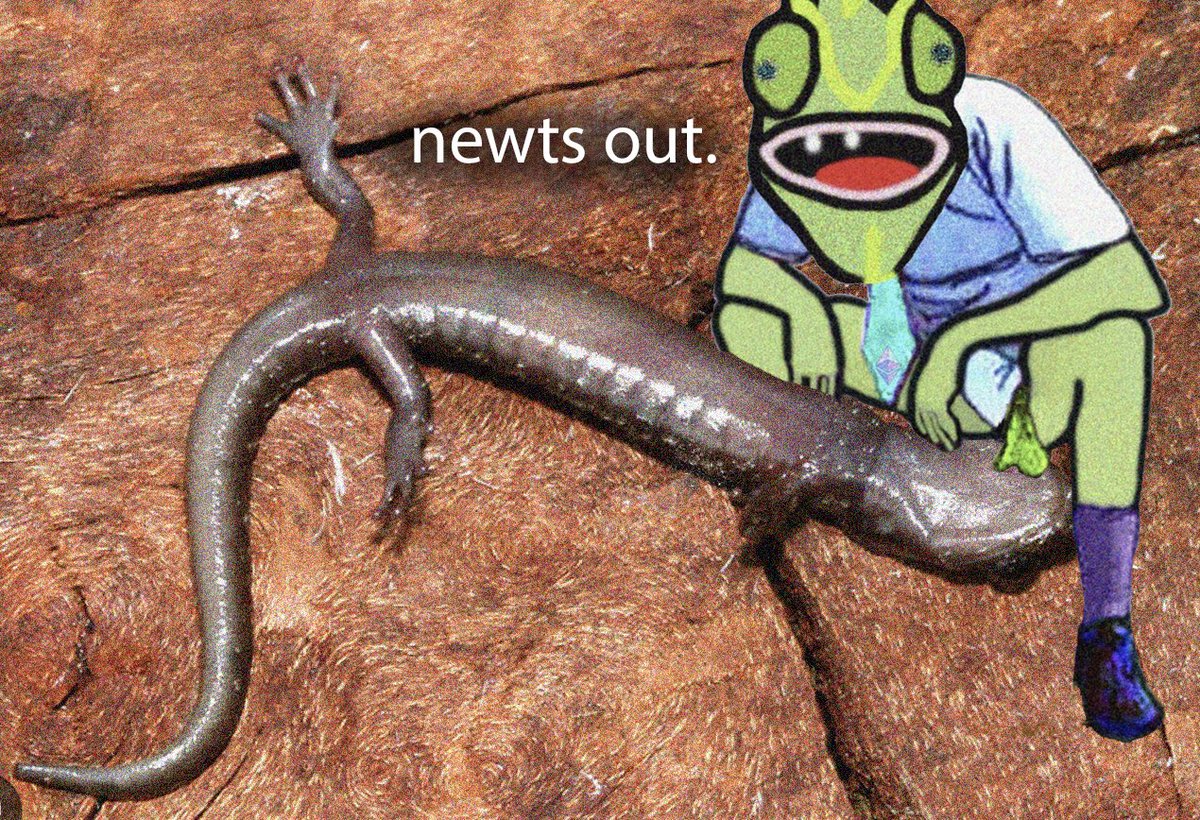 gaptoothlizard's tweet image. digital slop this, digital slop that

how bout you digital slorp deez