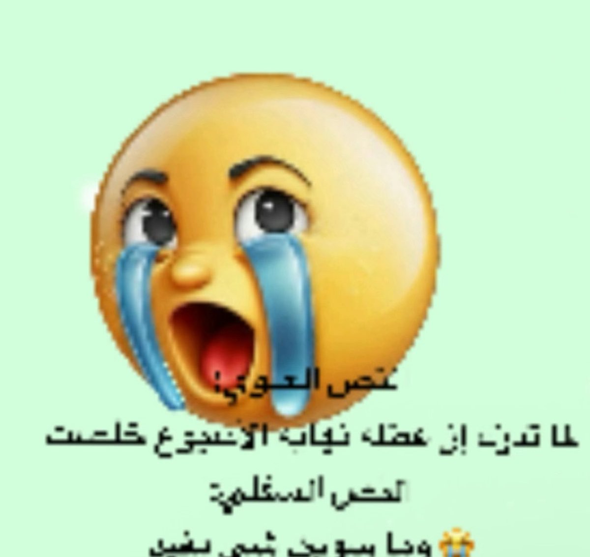 catuomi 🎀🧠 tweet media