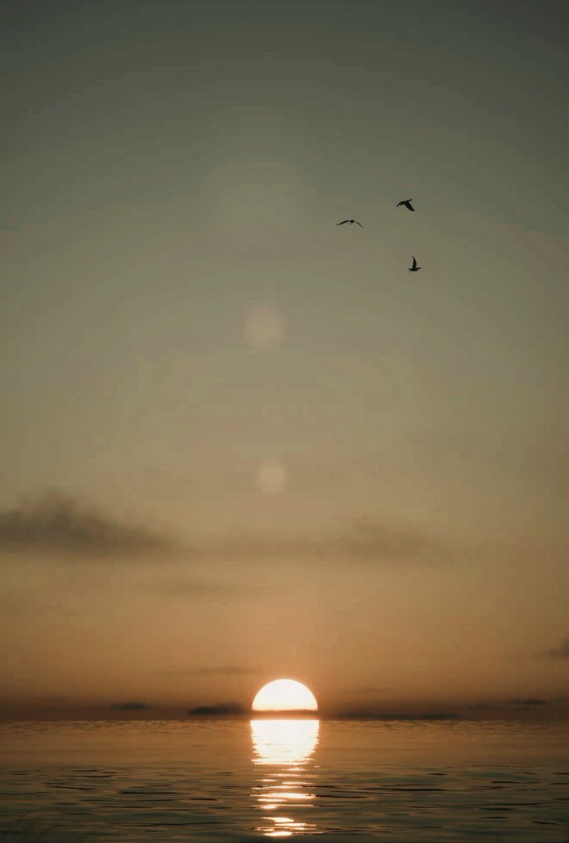 Taryn_VP's tweet image. Lushfoil Photography Sim (PS5)