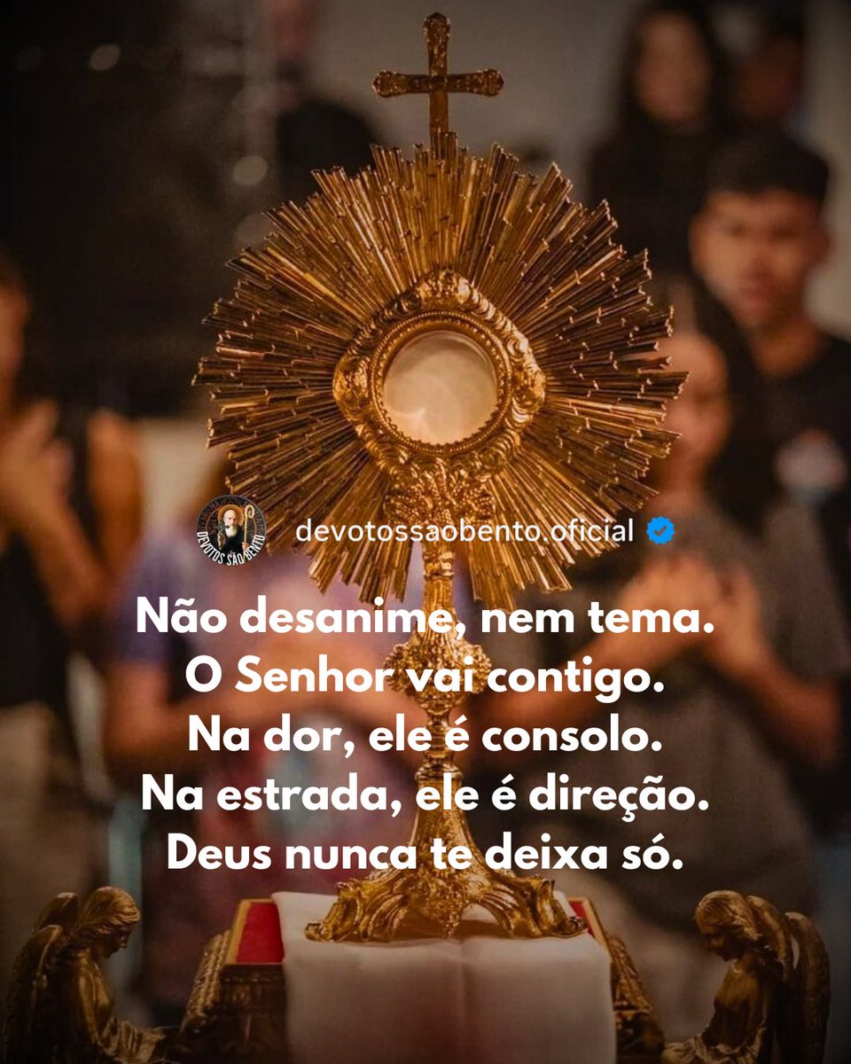 Quando o coração se aperta e a alma se sente só, lembre-se: Deus já está cuidando de tudo, mesmo quando você ainda não vê. 🙏🙌♥️🕊️