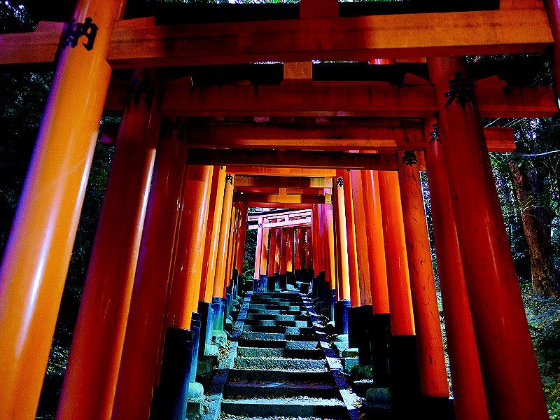 maimai_kyoto's tweet image. 【怪談史研究家と聖地ひんやりナイトウォーク!稲荷山のウラの顔】
📢満席でしたが、急遽キャンセルが出ました!
📅9月20日(土) 18:00~ 夜の伏見稲荷ツアー
maimai-kyoto.jp/event/ky25d077…