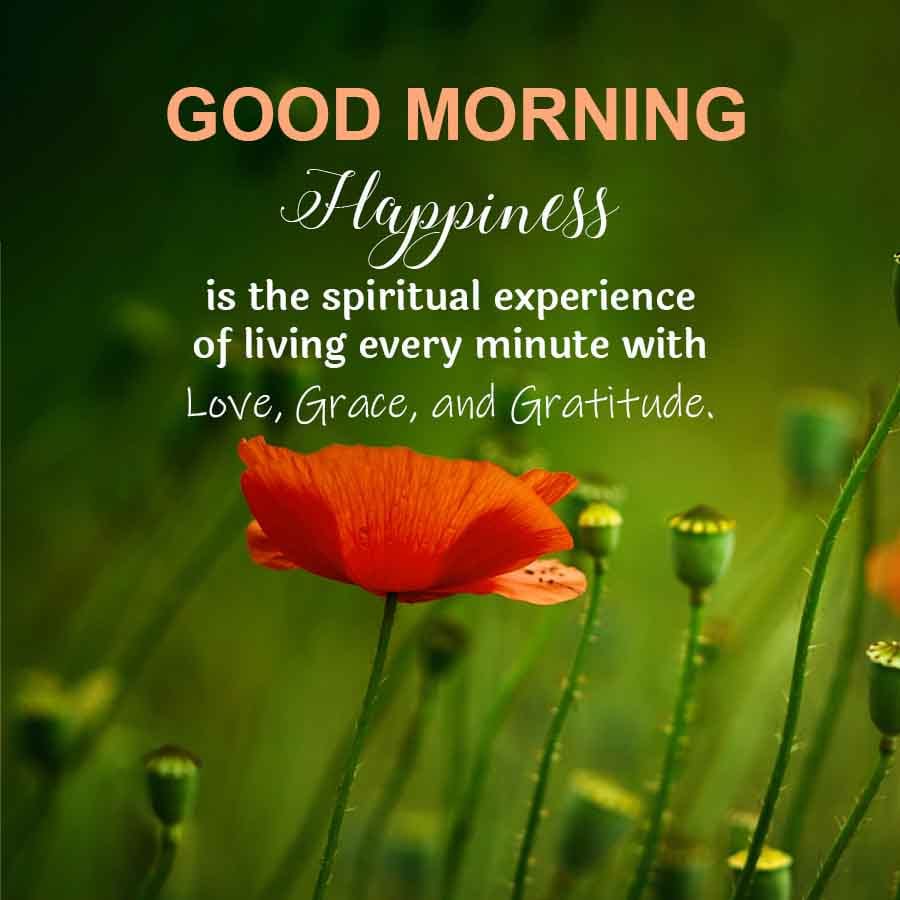 RaviBSharma1's tweet image. Monday Morning Thought 🌄