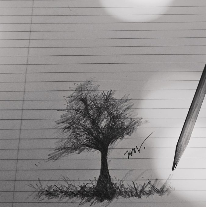nda2ka's tweet image. hyyh spring day tree?