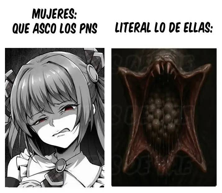 Mega atún tweet media